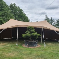 Custom Tents