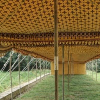 Custom Tents